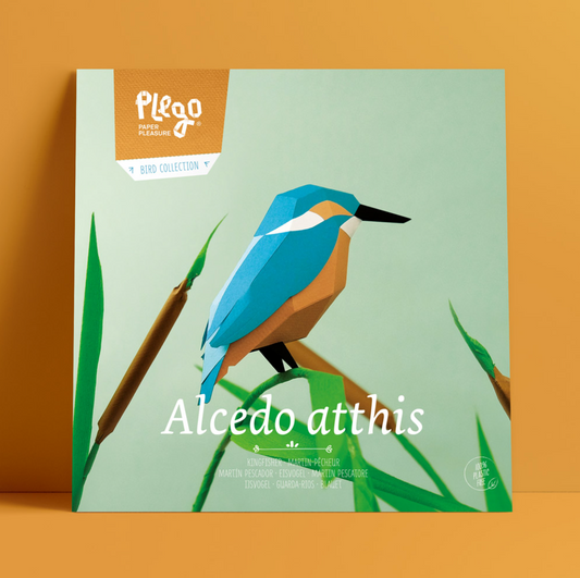 Kit Creativo de Manualidades – Martín Pescador