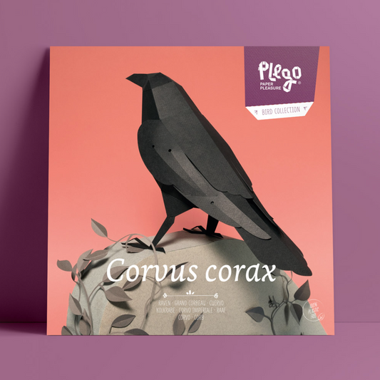 Kit Creativo de Manualidades – Cuervo