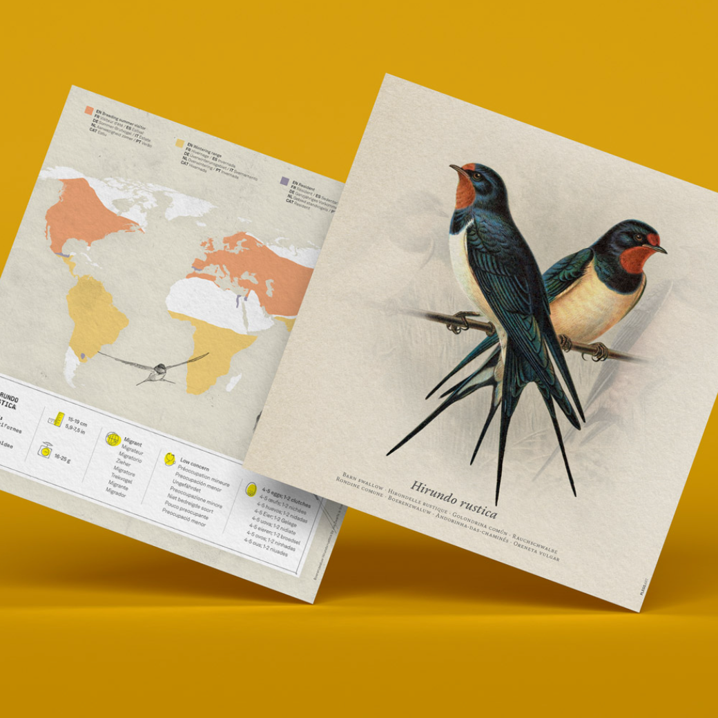 Figuras de papel precortadas - Golondrina