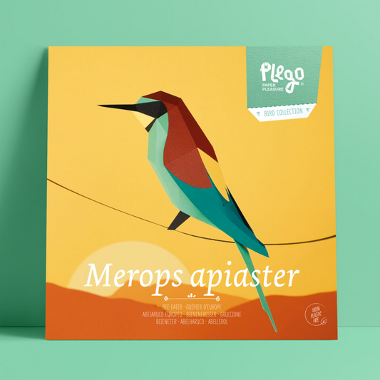 Kit Creativo de Manualidades – Abejaruco