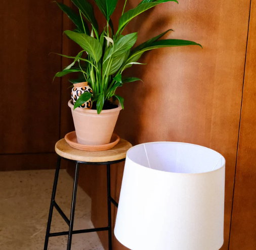 Regadero de plantas - Leoparda