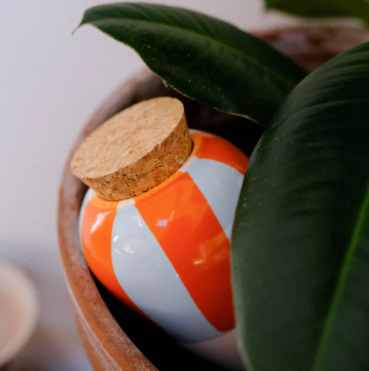 Regadero de plantas - Naranja Azul