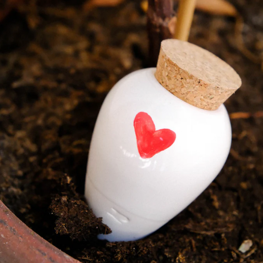 Regadero de plantas - Corazón