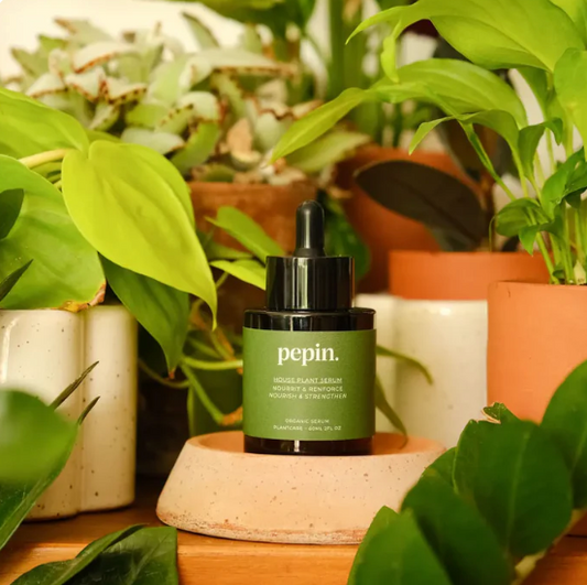 Suero nutritivo - Plantas Verdes