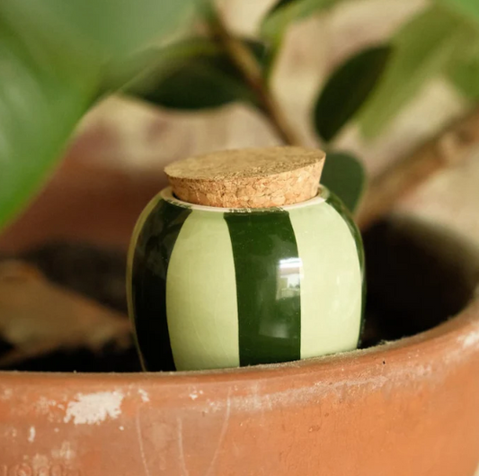 Regadero de plantas - Rayas verdes