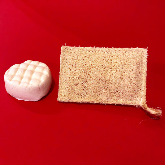 Estropajo de luffa para la vajilla