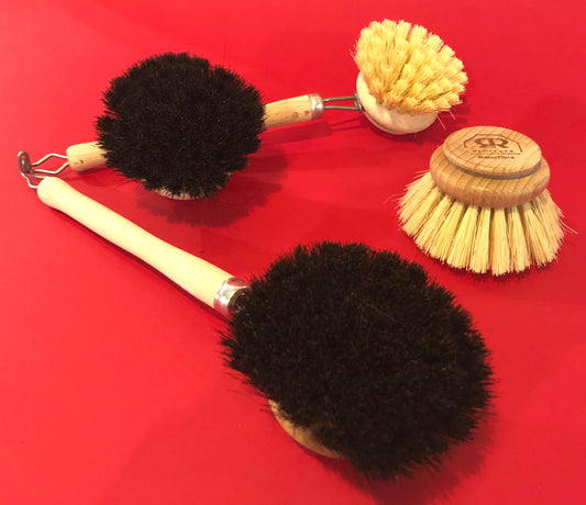 Recambio cepillo frega platos