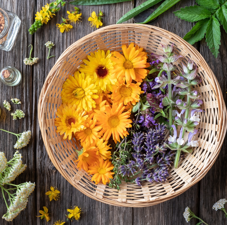 Aceites vegetales