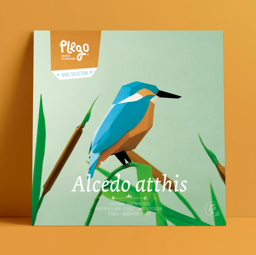 Kit Creativo de Manualidades – Martín Pescador