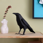 Kit Creativo de Manualidades – Cuervo