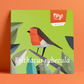 Kit creativo - Petirrojo