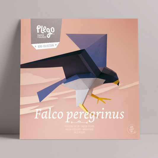 Kit Creativo de Manualidades – Halcón peregrino