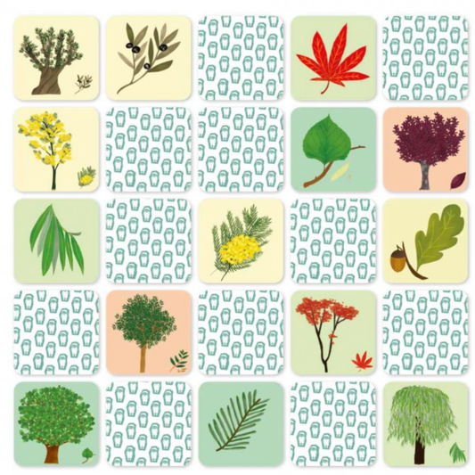 Memory - El árbol y su hoja