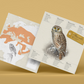 Kit Creativo de Manualidades – Mochuelo