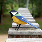 Figuras de papel precortadas - Parus Major