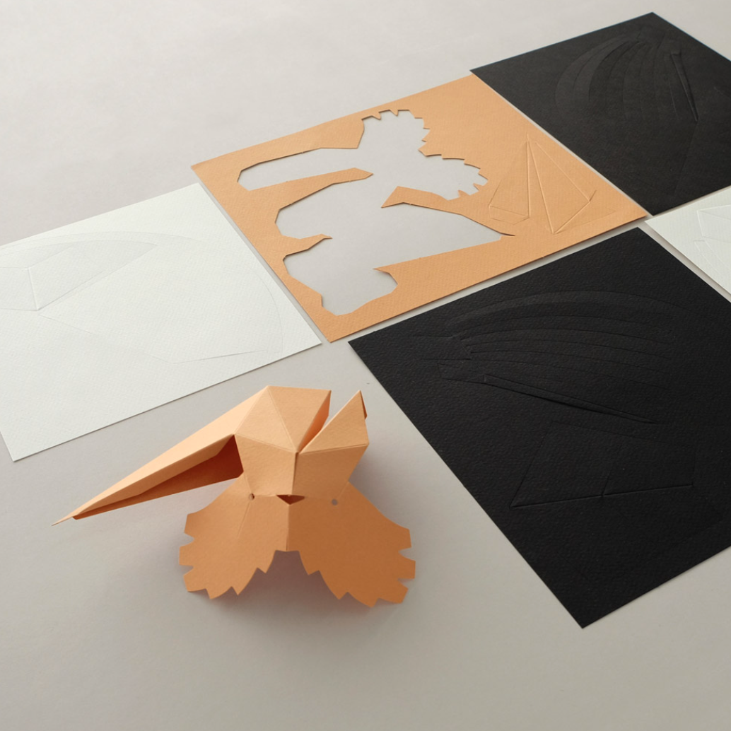 Kit Creativo de Manualidades – Abubilla