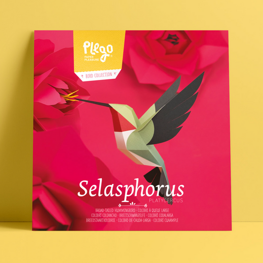 Figuras de papel precortadas - Colibrí coliancho