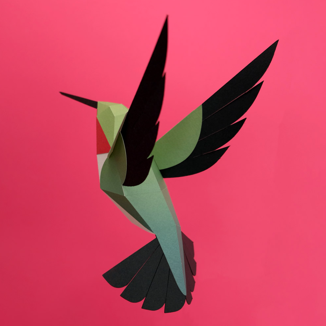 Figuras de papel precortadas - Colibrí coliancho