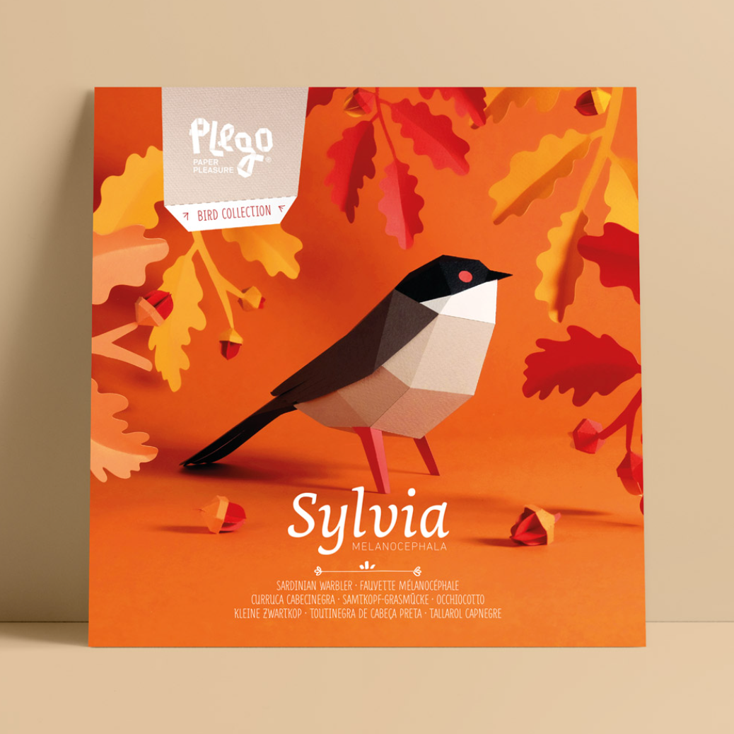 Kit Creativo de Manualidades – Sylvia