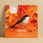 Kit Creativo de Manualidades – Sylvia