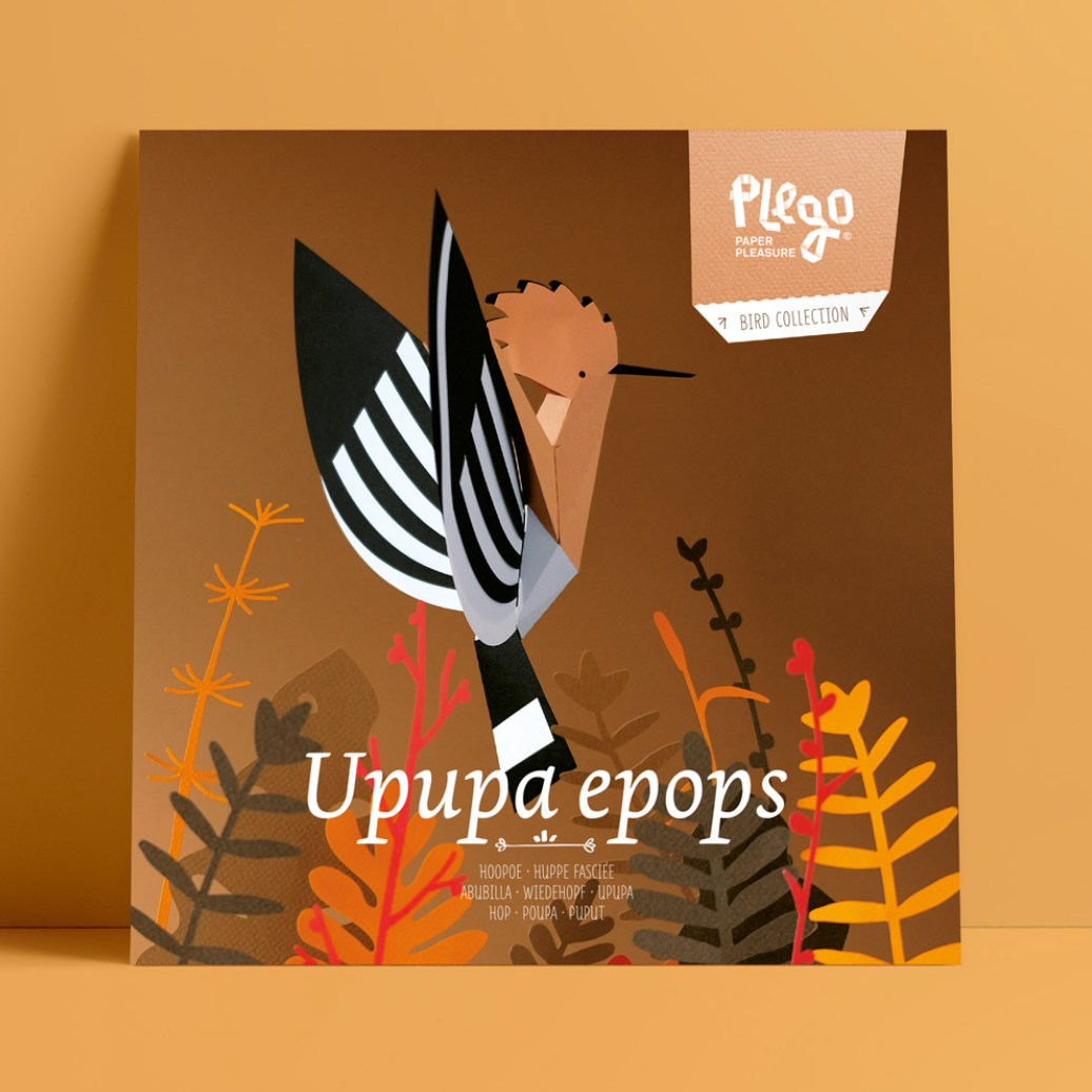 Kit Creativo de Manualidades – Abubilla