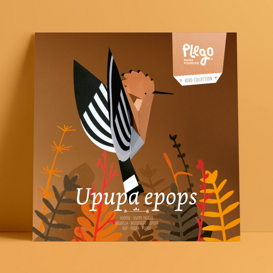 Kit Creativo de Manualidades – Abubilla