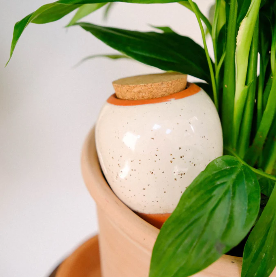 Regadero de plantas - Blanco granulado