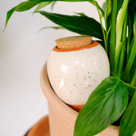 Regadero de plantas - Blanco granulado