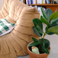 Regadero de plantas - Verde