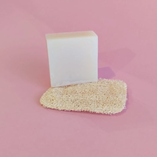 Jabonera de Luffa